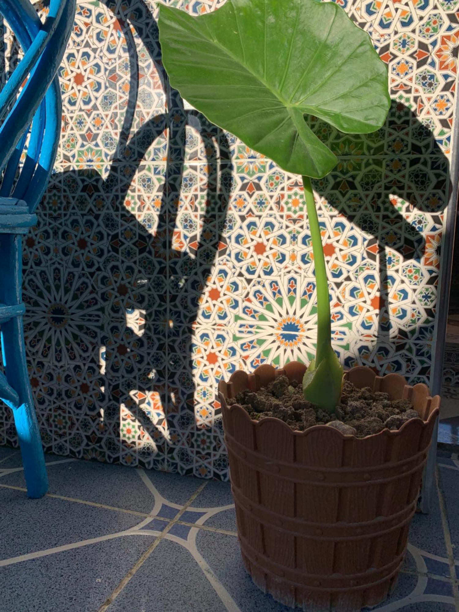 Beach House Asilah Kültér fotó